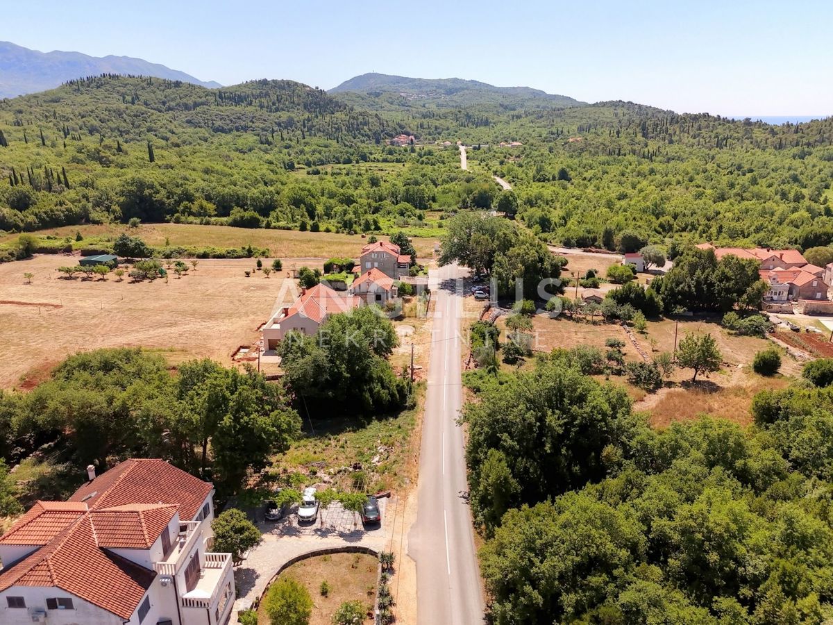 POPOVIĆI