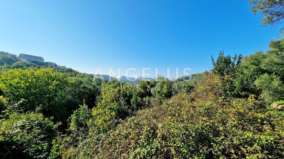 ŠIPANSKA LUKA