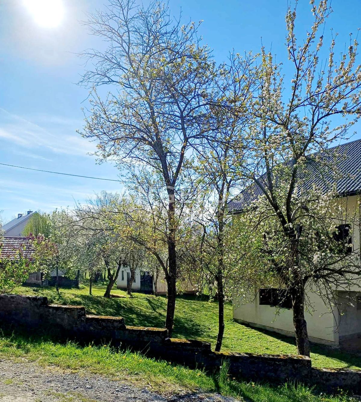 BRUŠANE