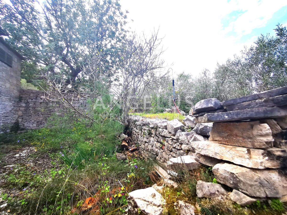 image 14
