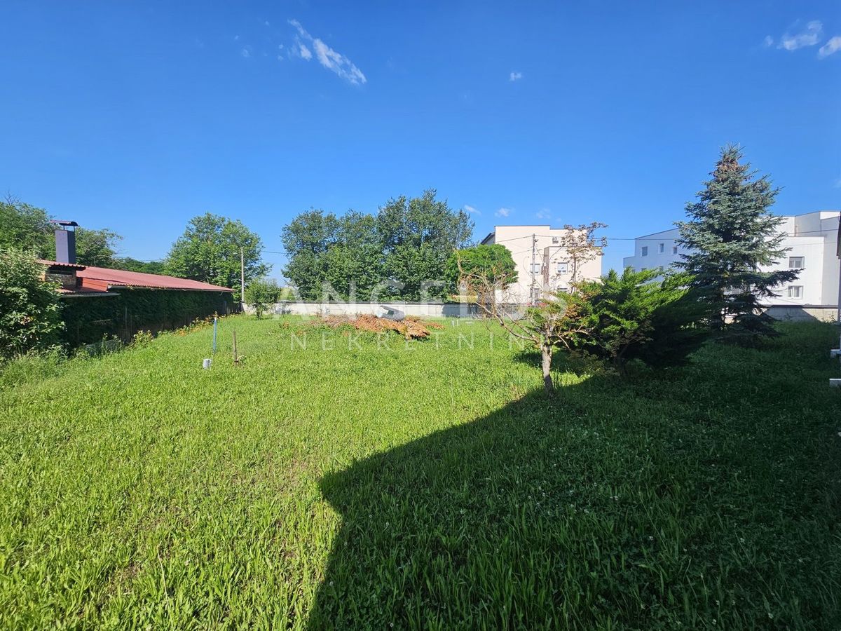 image 13