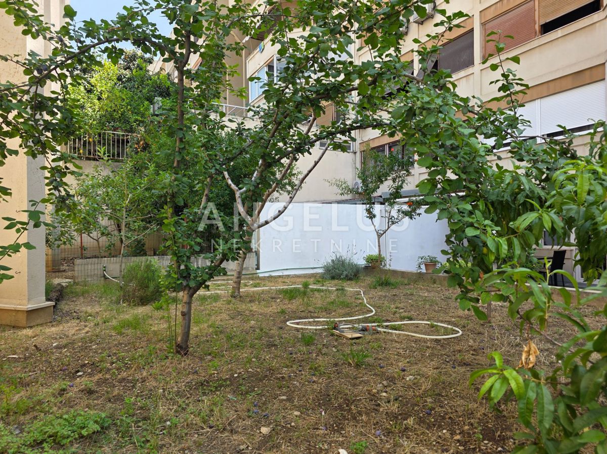 image 30