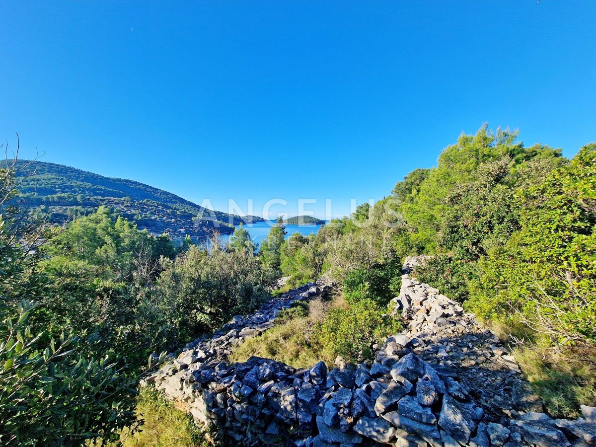 VELA LUKA