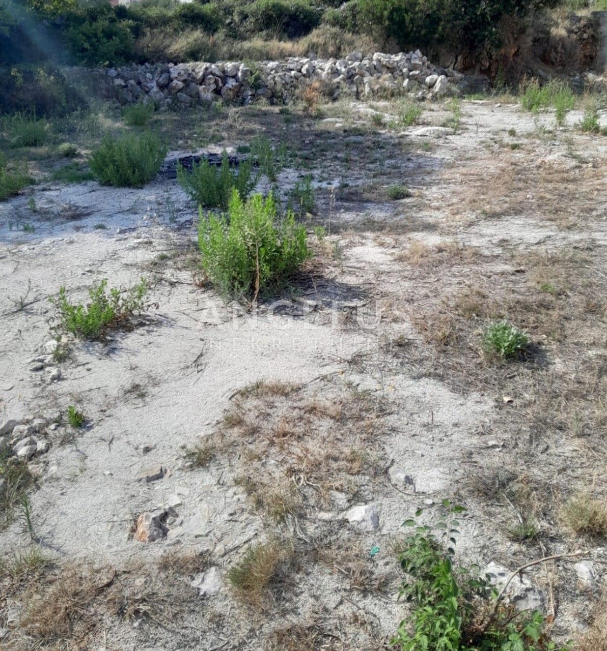VINIŠĆE
