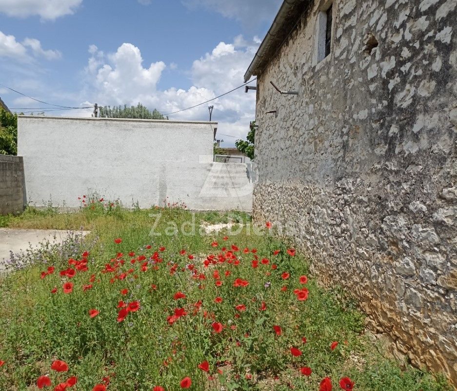 image 23