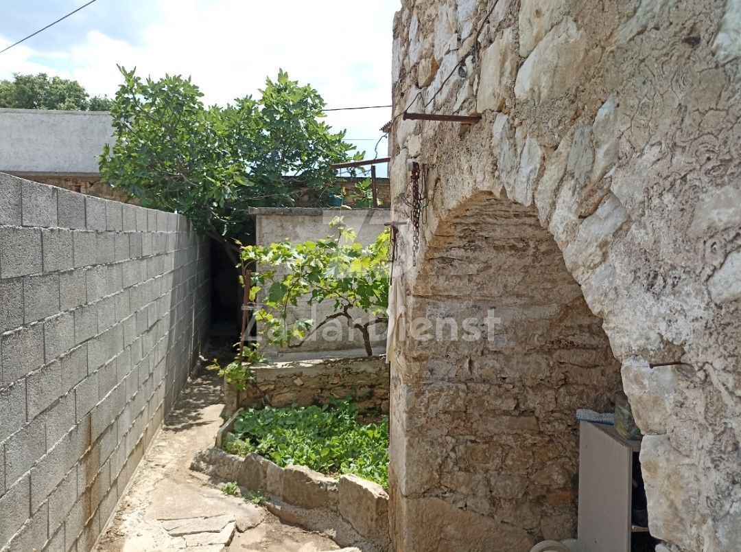 image 22