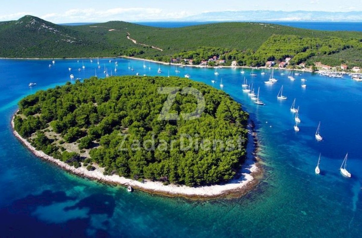 MOLAT
