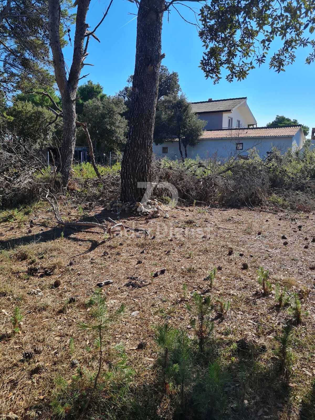 Zemljišče Vir – 3