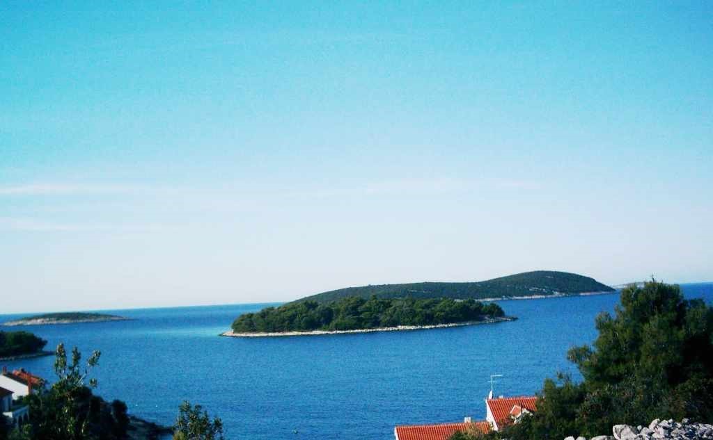 MASLINICA