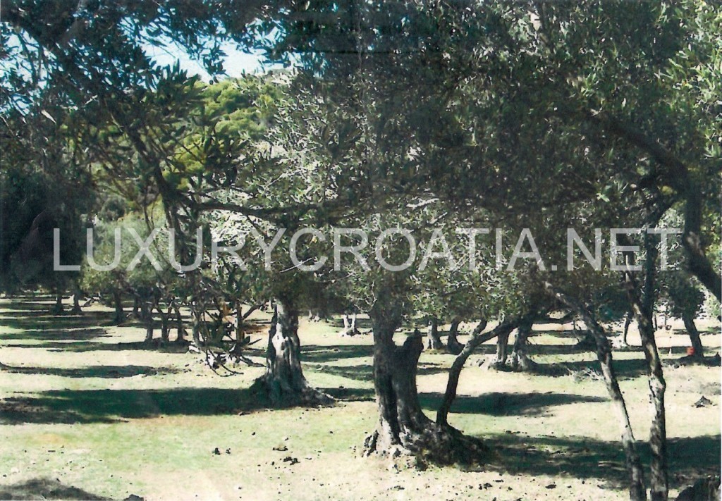 SUĐURAĐ