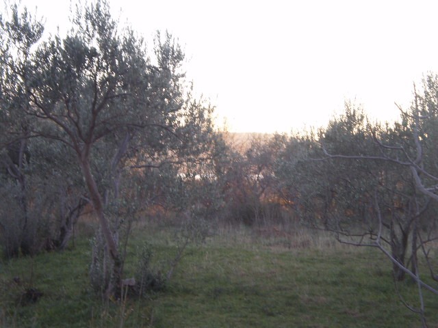 STARIGRAD PAKLENICA