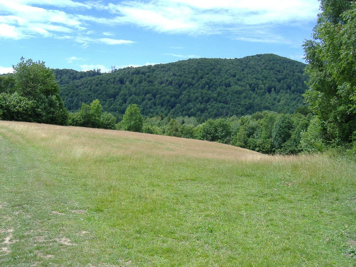 FUŽINE
