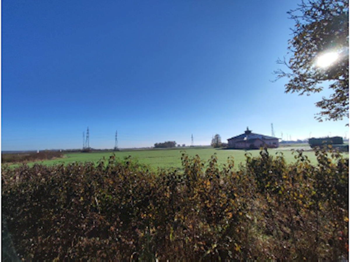 ŽUPANJA